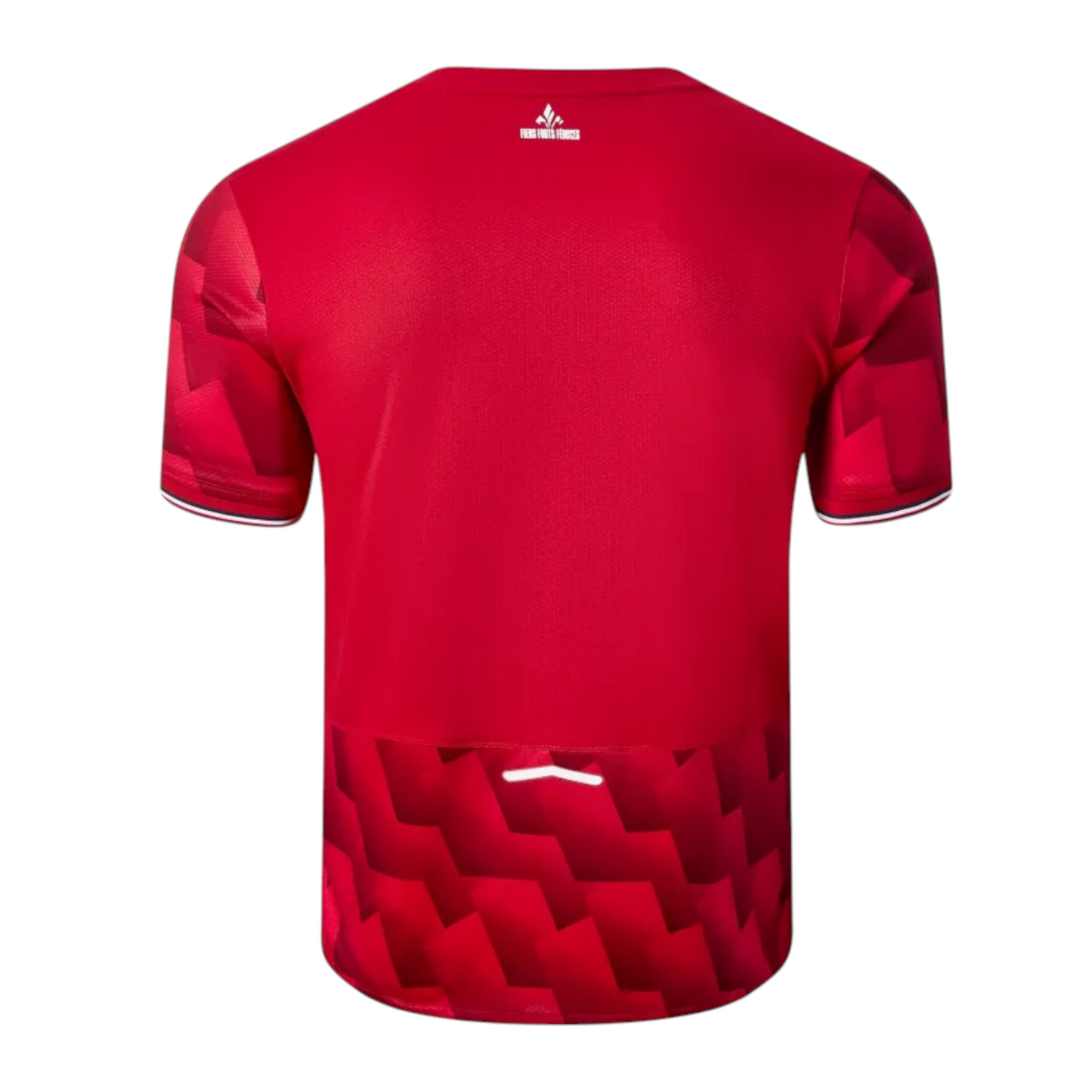 Fc LILLE